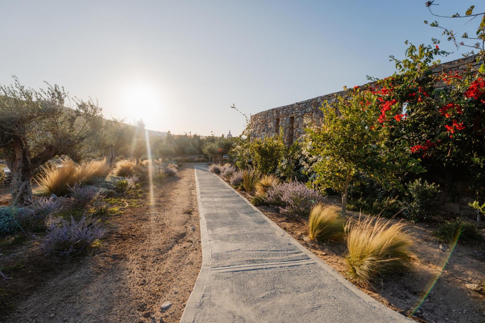 Oliving Mykonos Luxury Hotel